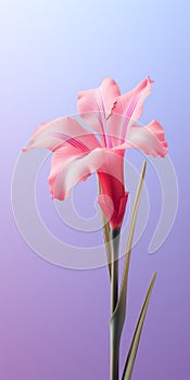 Minimalist Gladiolus Mobile Wallpaper For High-grade Samsung Q900ts