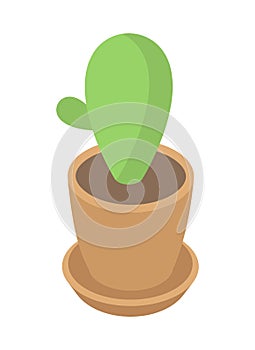 Minimalist green cactus growing in pot isometric vector Mexican desert plant for home and office