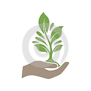 Omposition is set against a plain white background emphasizing the contrast