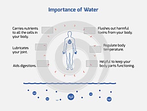 Importance of Water Infographic - Water, Health, Importance, Vector EPS 10 photo