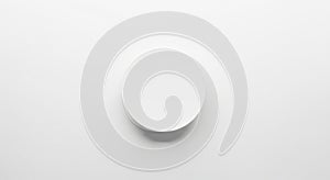 Minimalist image featuring a plain, smooth white circular object centered on a white
