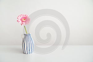 Minimalist image with pink gerbera - germini flower
