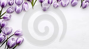 Minimalist Lavender Tulips In Wood Frame On White Background