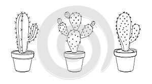 Minimalist Line Art Cactus Plants in Decorative Pots for Modern Home Decor