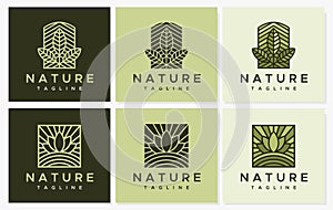 Minimalist line leaf logo design template set. Nature leaf logo graphic set.