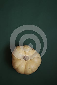 Minimalist Marvel: Bright Pumpkin Harmony photo