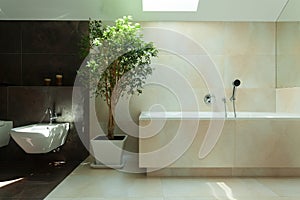 Minimalist modern bathroom in daylight