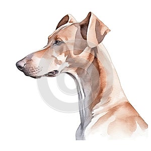 Minimalist Pharaoh Hound Watercolor Painting on Soft Pastel Background. Perfect for Invitations and Posters.