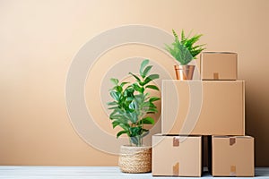 Minimalist relocation: cardboard boxes, furniture, and plants prepped for a move. Copy space