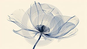 A minimalist representation of a blooming flower with just a few lines to depict its form and structure.