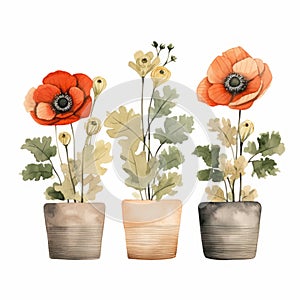 Minimalist Rustic Southwest Poppy Watercolor Illustration With Pots