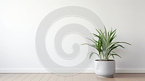 Minimalist Plant Pot In Empty Room: 3d Rendering With Environmental Awareness photo