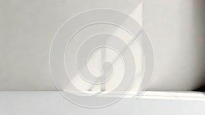 Minimalist sunlit window shadows on a plain wall