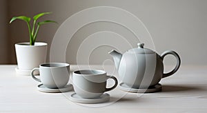 A minimalist table setting features a