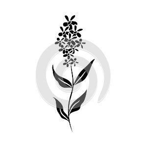 Minimalist tattoo flower stem petals silhouette art herb and leaves