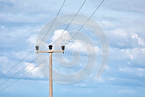 High voltage power electric pole, power lines and fuses against a cloudy blue sky background