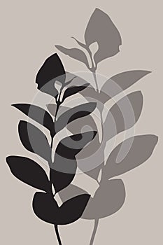 Minimalist wall art. Botanical pattern for framed wall prints, canvas prints