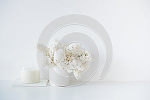 Minimalist white home decor, fresh lilac flowers bouquet in vase photo