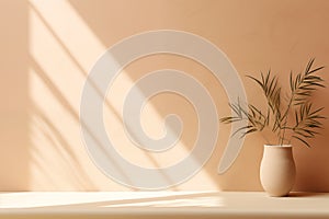 Minimalistic abstract gentle light beige background for product presentation with light andand intricate shadow from the