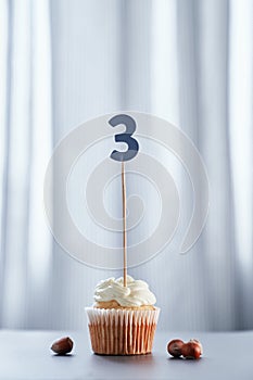 Minimalistic birthday cupcake with number 3 three