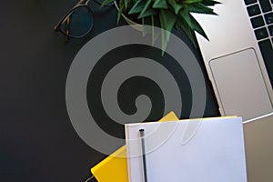 Minimalistic business concept flat lay. Laptop, yellow diary, a blank sheet of paper with black pen, flower succulent and glasses