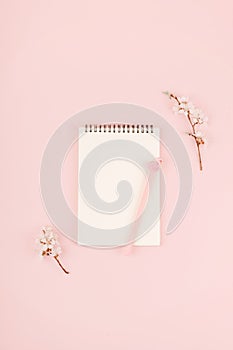 Minimalistic card mockup with empty open white notebook, blossom cherry flower branch on pink  background. Flat lay, top view,