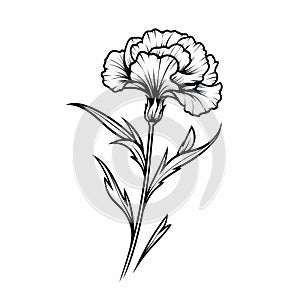 Minimalistic Carnation Sketch: Trendy Tattoo Design