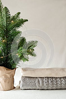Minimalistic Christmas fir , spruce tree and a stack of winter cozy sweaters. Copy space
