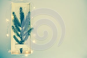 Minimalistic Christmas tree made of evergreen fir plant on toned background. Christmas, new year concept. Flat lay