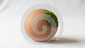 Minimalistic composition emphasizes the juxtaposition of natural elements