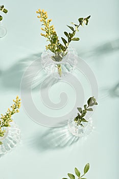 minimalistic composition of a glass vase and a green leaf