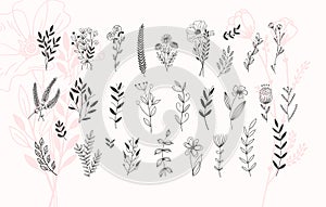 Minimalistic flower graphic sketch drawing, trendy tiny tattoo design, floral botanic element photo