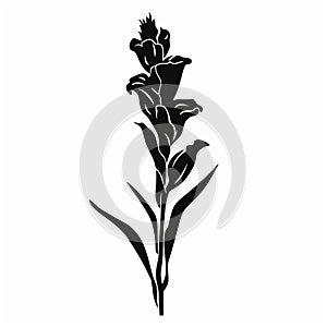 Minimalistic Gladiolus Silhouette Vector For Identification Symbol