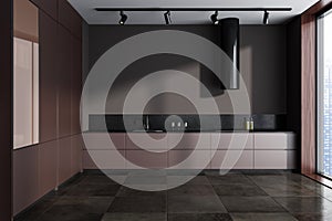 Minimalistic gray and brown kitchen interior