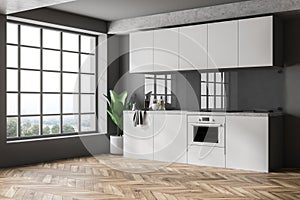Minimalistic gray kitchen interior