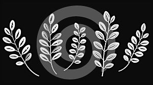 Minimalistic Hand-drawn Leaf Illustrations On Black Background