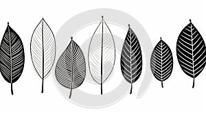 Minimalistic Hand Drawn Leaves: Bold Outlines, Flat Colors, Linear Illustrations