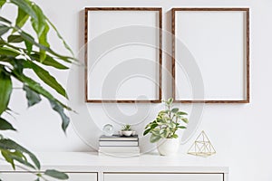 Minimalistic home decor of interior with two brown wooden mock up photo frames on the white shelf with books, beautiful plant.