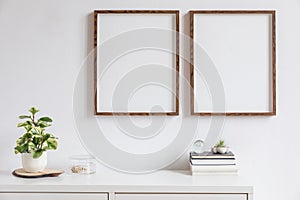 Minimalistic home decor of interior with two brown wooden mock up photo frames on the white shelf with books, beautiful plant.