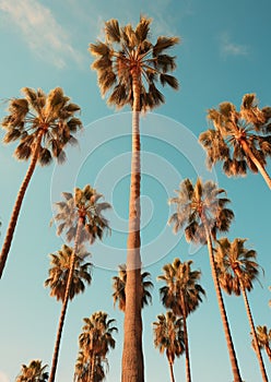 Minimalistic image of palm trees against the clear blue sky. Generative Ai