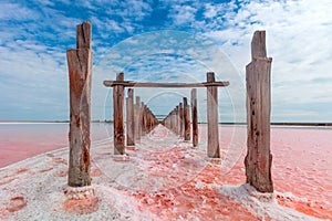 Minimalistic landscape - natural pink color of salt lake, Ukraine