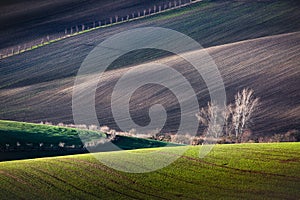 Minimalistic landscape with waves hills,South Moravia, Czech Republic