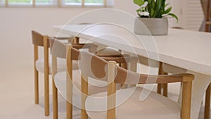 Minimalistic modern dining area with long white table surrounded by wooden chairs with beige cushions. Potted plant with