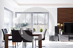 Minimalistic modern dining room