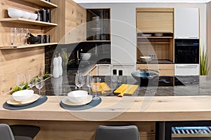 Minimalistic modern wooden panel kitchen interior