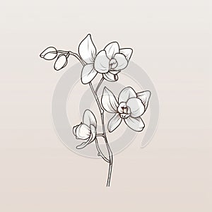 Minimalistic Orchid Sketch Drawing: Trendy Tattoo-inspired Design