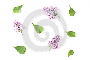 Minimalistic pattern laid out with lilac flowers and green leaves. white background, flat lay, top view