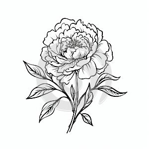 Minimalistic Peony Flower Tattoo Design In Black And White