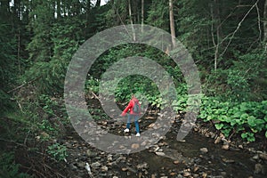 Minimalistic photo of a female traveler walking through the mountain river in the fir forest. Back view on a tourist girl in a red