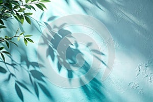 Minimalistic Simple Background with Foliage Shadow on Light Blue Wall